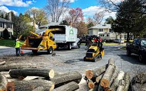 Best Storm Damage Tree Cleanup  in Auberry, CA