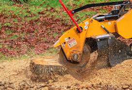 Best Root Management and Removal  in Auberry, CA
